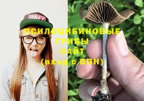 прущая мука Михайлов