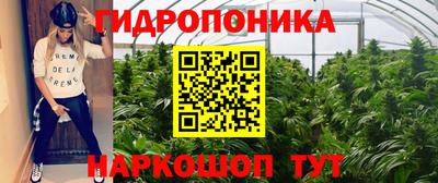 наркотики Аргун