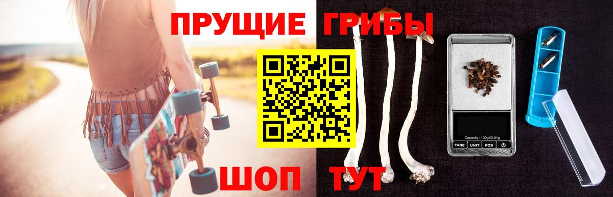 Псилоцибиновые грибы мицелий Астрахань